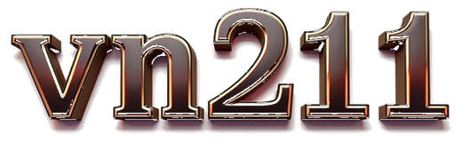 vn211 logo